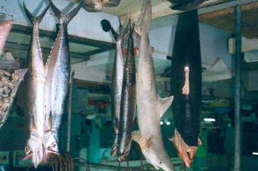 Fischhalle im Markt von Merida
