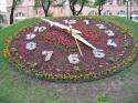 thm087_IMG_2003.jpg