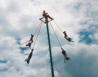 Fliegende Taenzer